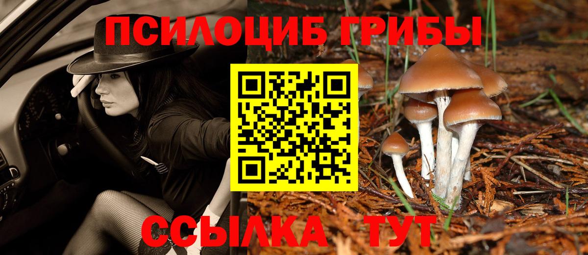 Псилоцибиновые грибы Cubensis  Вход с VPN  дарнет шоп  Кимры 
